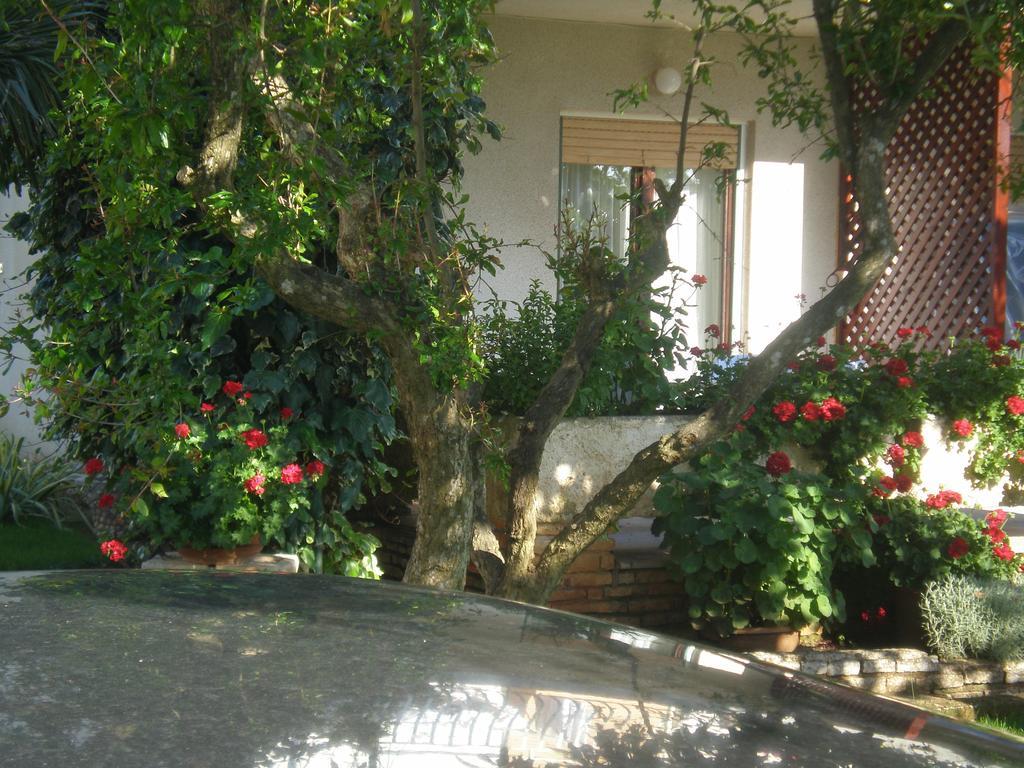 Apartment Ms Пула Екстериор снимка